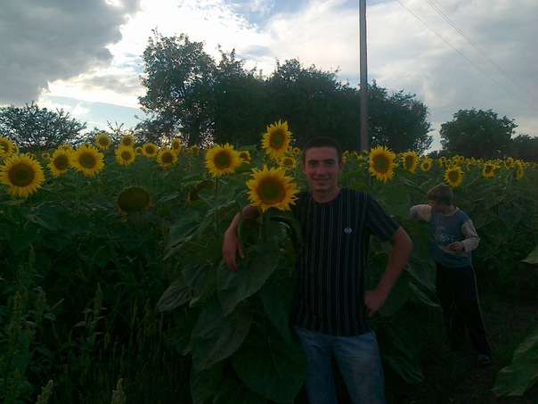 №84, Дініс Цибулянко №84, Дініс Цибулянко