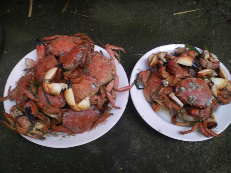 Антон Хмелевский (ЮРИЧ) | Дружная Горка