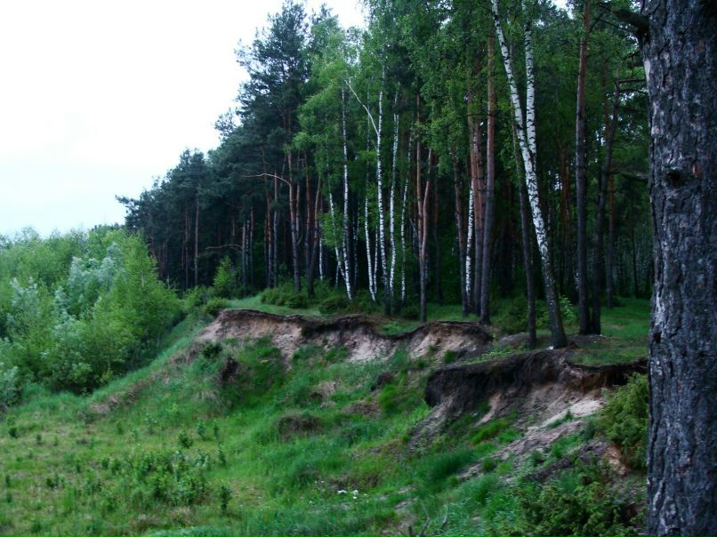 Игорь Лукашук | Жабинка