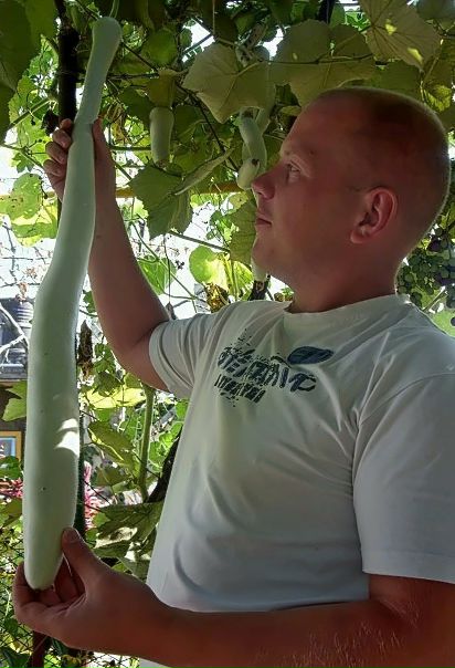 №71, Руслан Галаганов, Великий Устюг №71, Руслан Галаганов, Великий Устюг