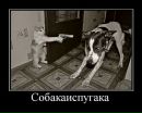 Фотография Василий Красников