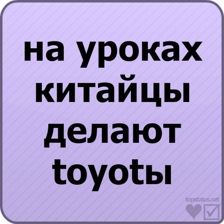 №81, Максим Пахолок, Судовая Вишня №81, Максим Пахолок, Судовая Вишня