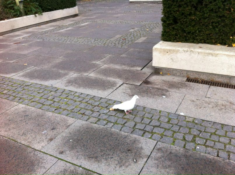 Василий Белоглазов | Ярославль