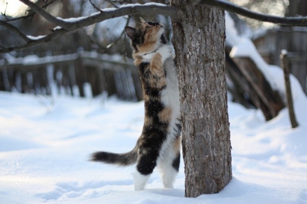 Александр Рогальский фотография #1