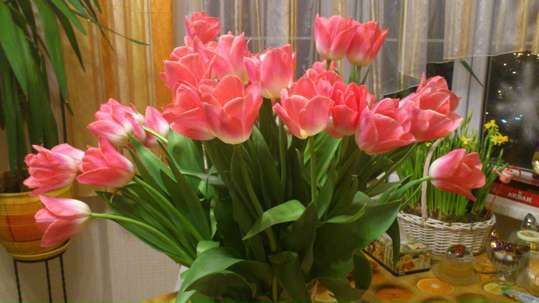 №76, Евгения Березюк, 44 года, Москва, Россия №76, Евгения Березюк, 44 года, Москва, Россия