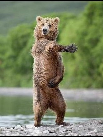 Дмитрий Максимов | Красноярск