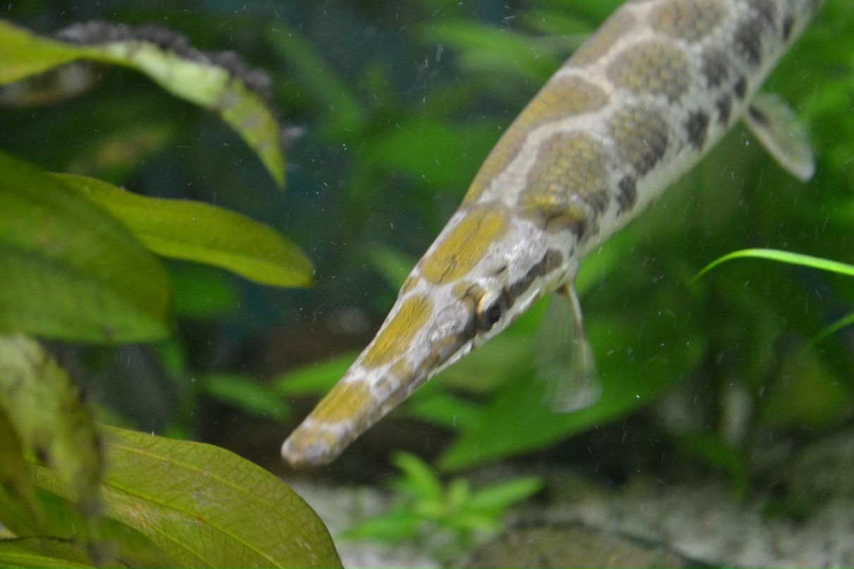 Ленка Щербакова NIKTCHEMY | Санкт-Петербург