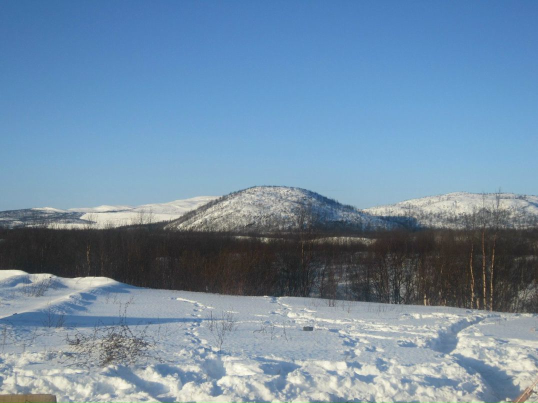 Дмитрий Ивкин | Сокол