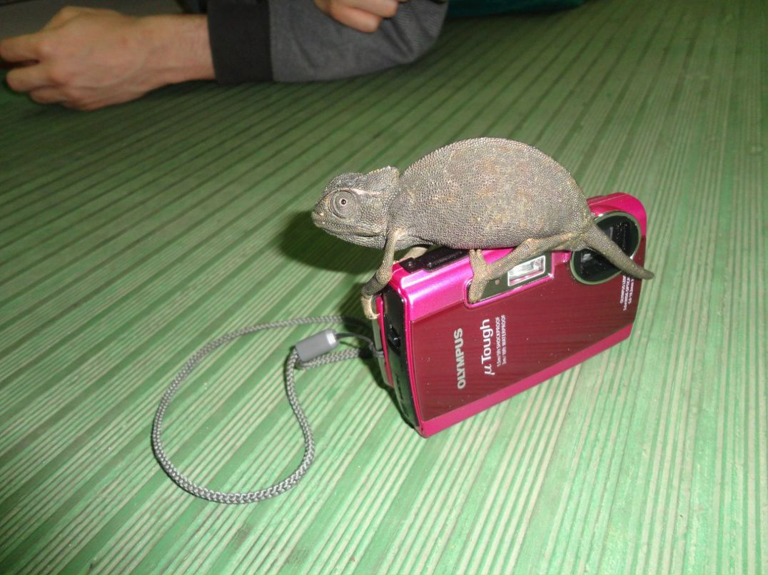 Михаил Рябенков | Калининград