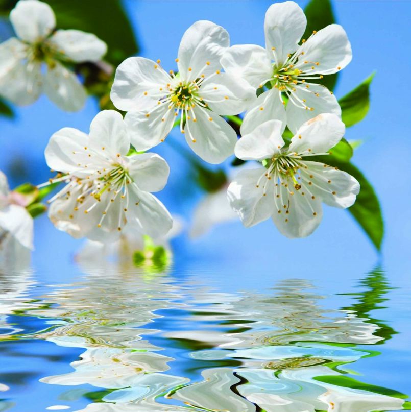 Александр Вахрушев | Киров