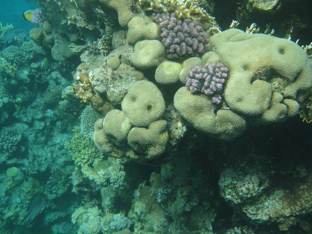 Ольга Шкитина | Тамбов