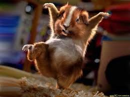 Богдан Зинченко | Харьков