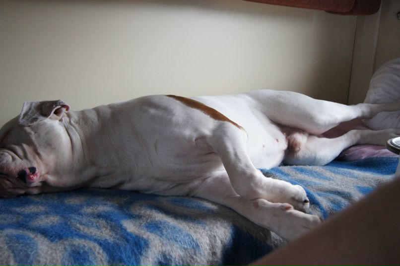 Ольга Исаева | Санкт-Петербург