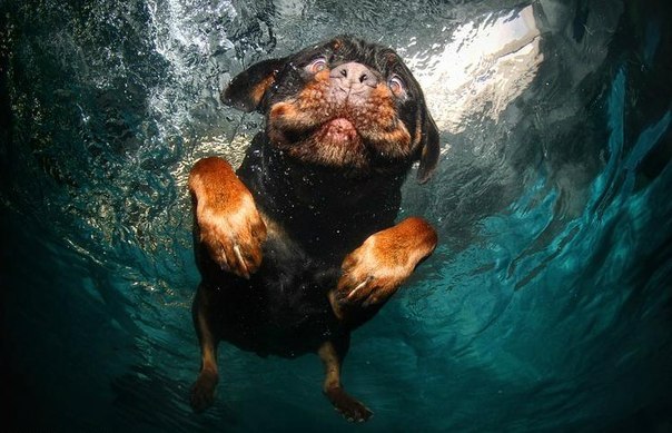 Юлия Сова | Воронеж