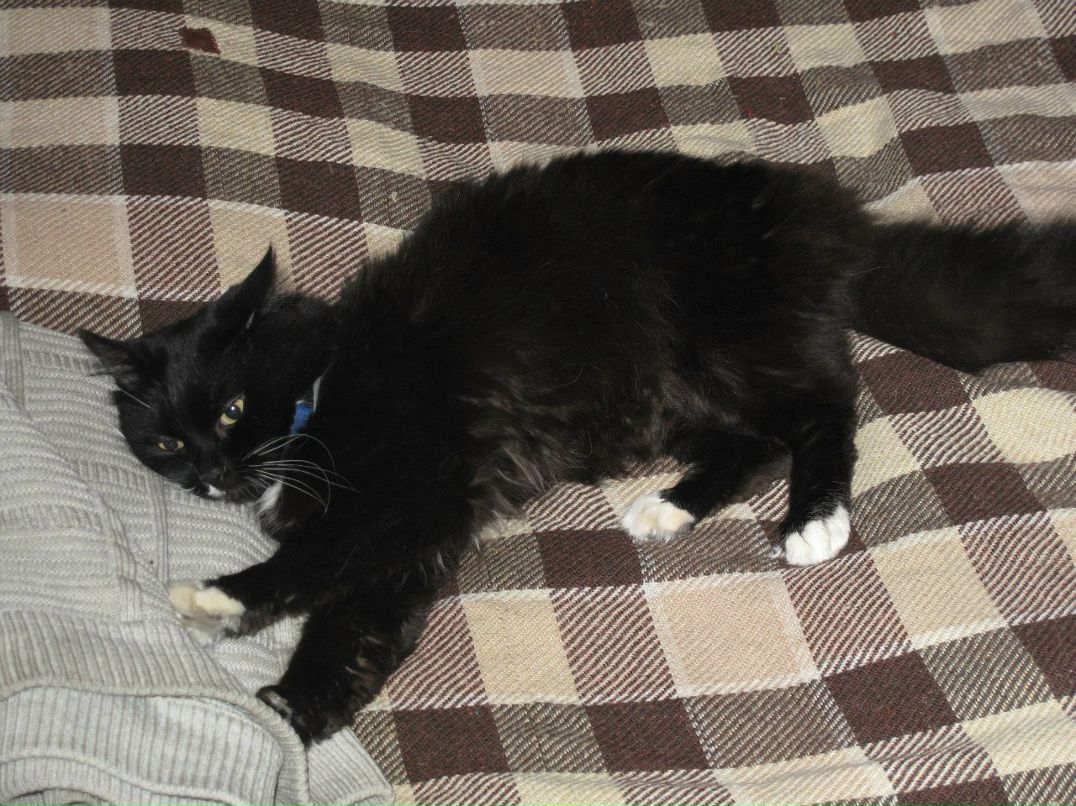 Ольга Пащенко | Москва