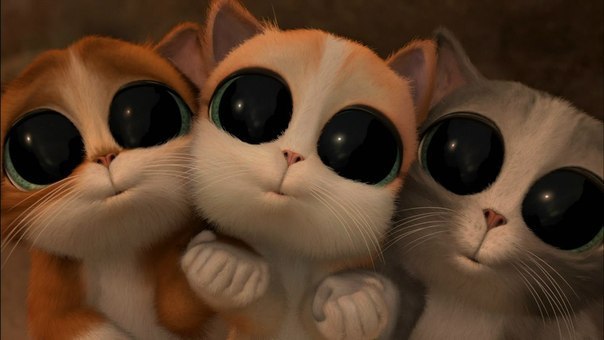 Дарья Лемешко Владимировна | Киев