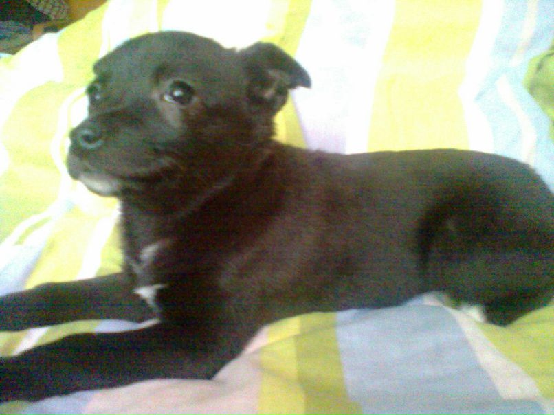 Санька Родионова | Москва