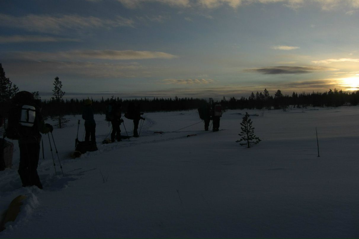 Арсений Петрик | Харьков