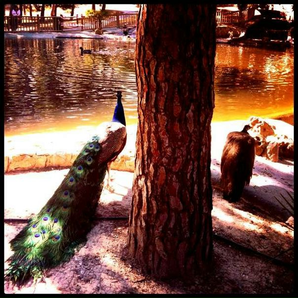 №27, Мила Новожилова, 38 лет, Москва №27, Мила Новожилова, 38 лет, Москва