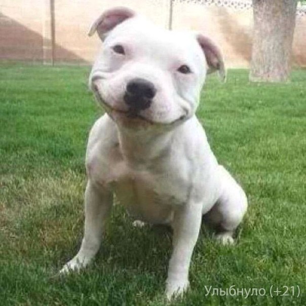 Диня Захаров ♂+♀DeNi$kaϖ | Санкт-Петербург