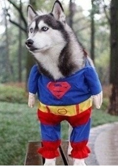 Владимир Лежанкин | Москва