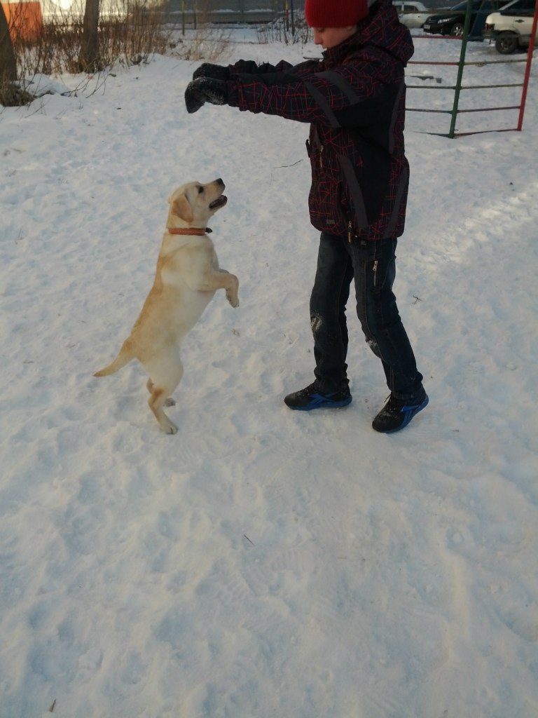 Михаил Пятаков *PiF* | Пермь