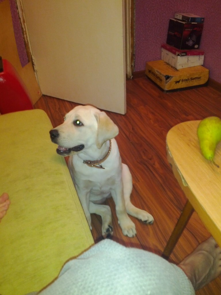 Михаил Пятаков *PiF* | Пермь