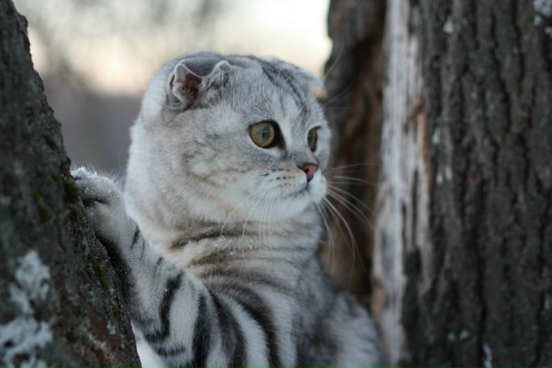 Olya Bazaeva | Наро-Фоминск