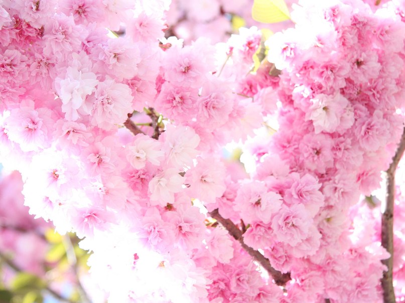 Елена Мороз Андреевна | Тараща