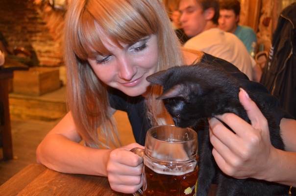 №30, Надежда Опанасик, Киев №30, Надежда Опанасик, Киев