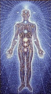 №13, Дима Мирошниченко №13, Дима Мирошниченко