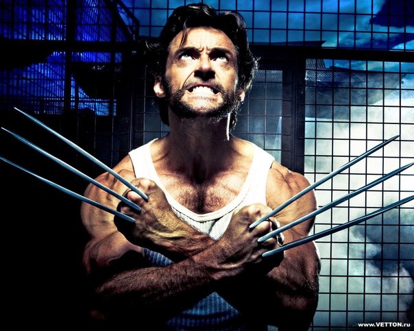 №6, Леший Александров №6, Леший Александров