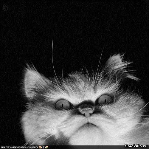 Оксана Мельник | Санкт-Петербург