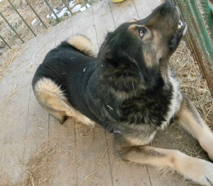 Петро-Андрій Власійчук | Ивано-Франковск