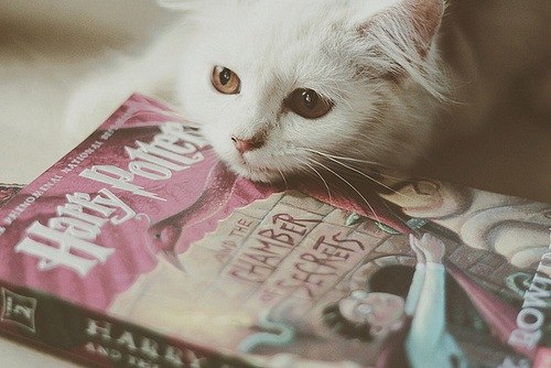 Анастасия Пархоменко | Москва