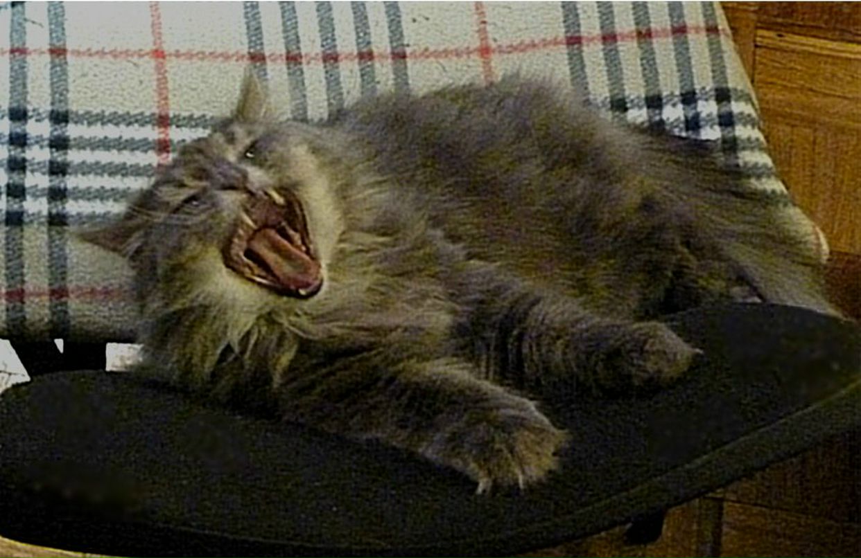 Юлия Иванова | 