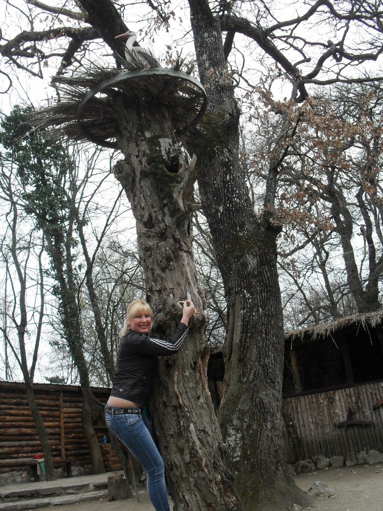 Татьяна Зыряева | Севастополь