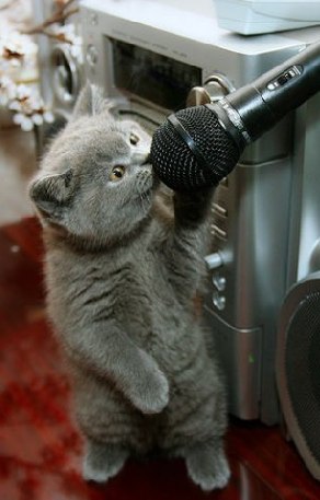 №99, Anton Stolyarsky, Одесса №99, Anton Stolyarsky, Одесса