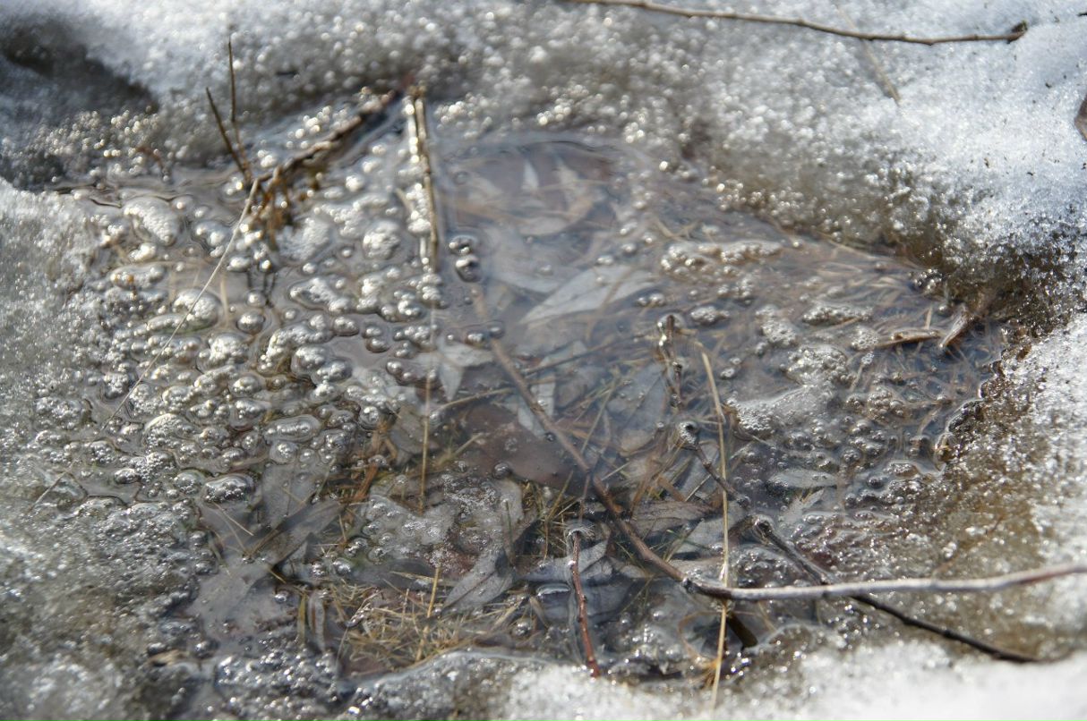 Ирина Федорова | Шемышейка