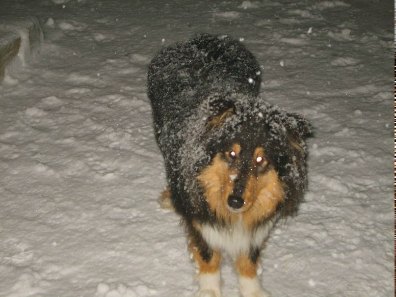 Ольга Тиришкова | Минск