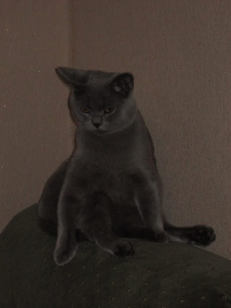 Ирина Цымбал | 