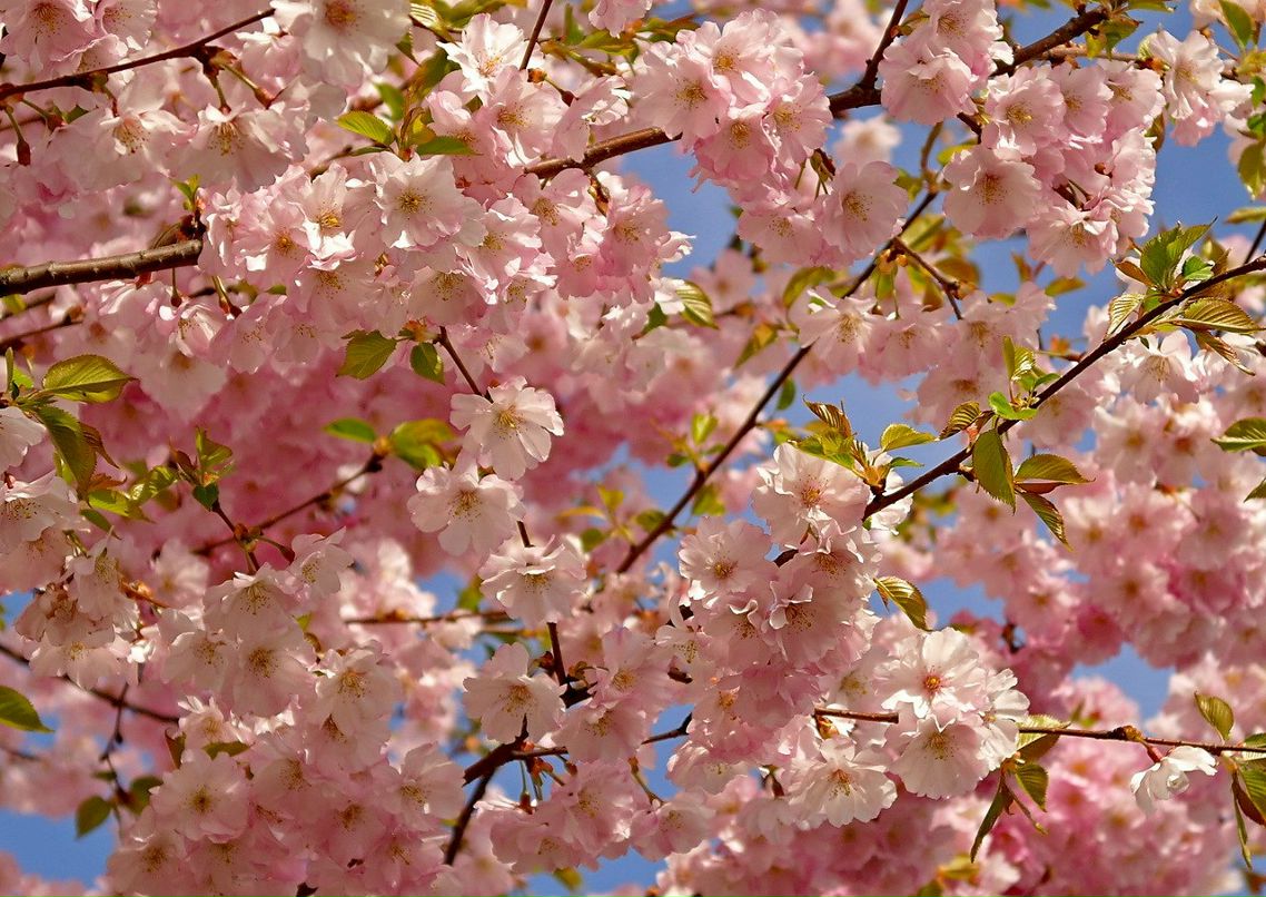 Александр Виноградов | Санкт-Петербург