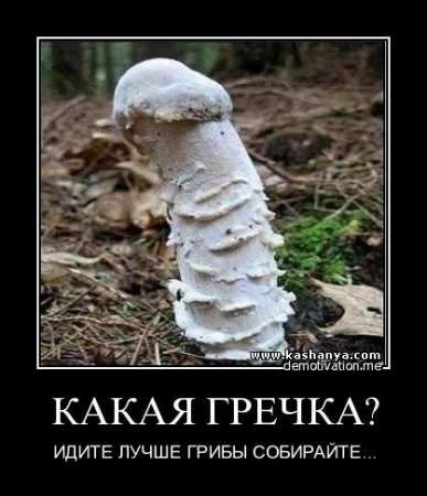 Мария Иванова | Владикавказ