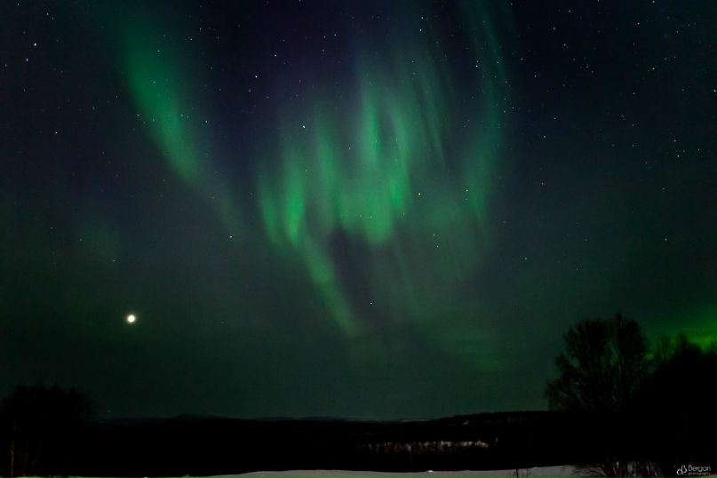 Александр Карнаухов | Мурманск