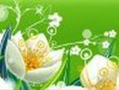 Наталия Филиппова | Санкт-Петербург