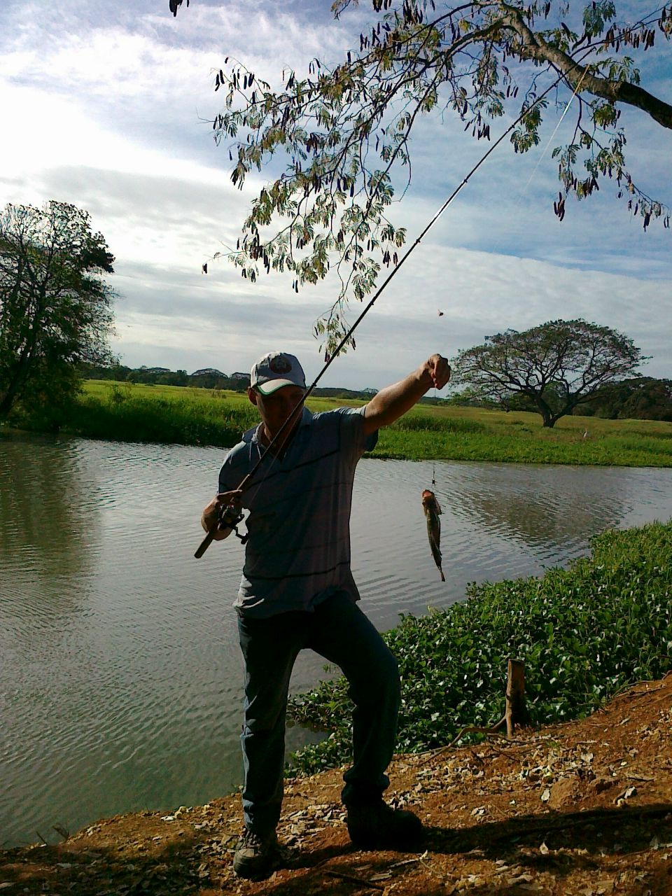 Василий Прянишников | Минск