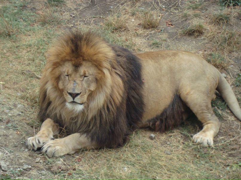 Виталий Кадигроб | Мелитополь