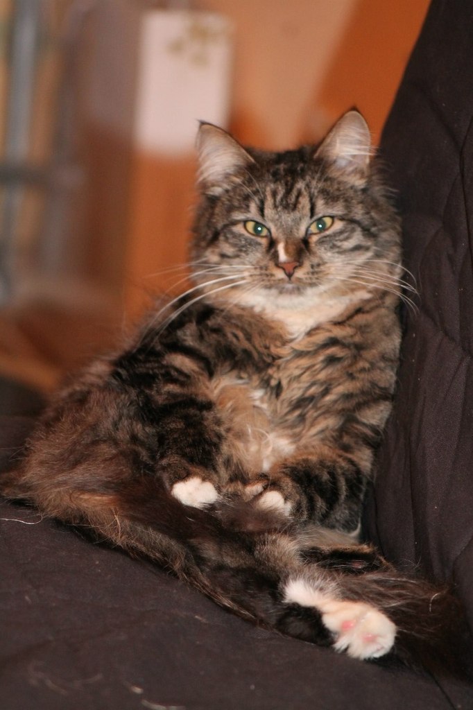 Мария Угрюмова | Санкт-Петербург