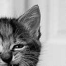 №91, Віталік Токарчук, 32 года №91, Віталік Токарчук, 32 года