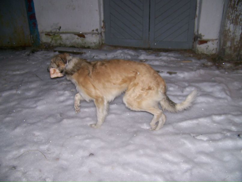 Дениска Борисов | Екатеринбург